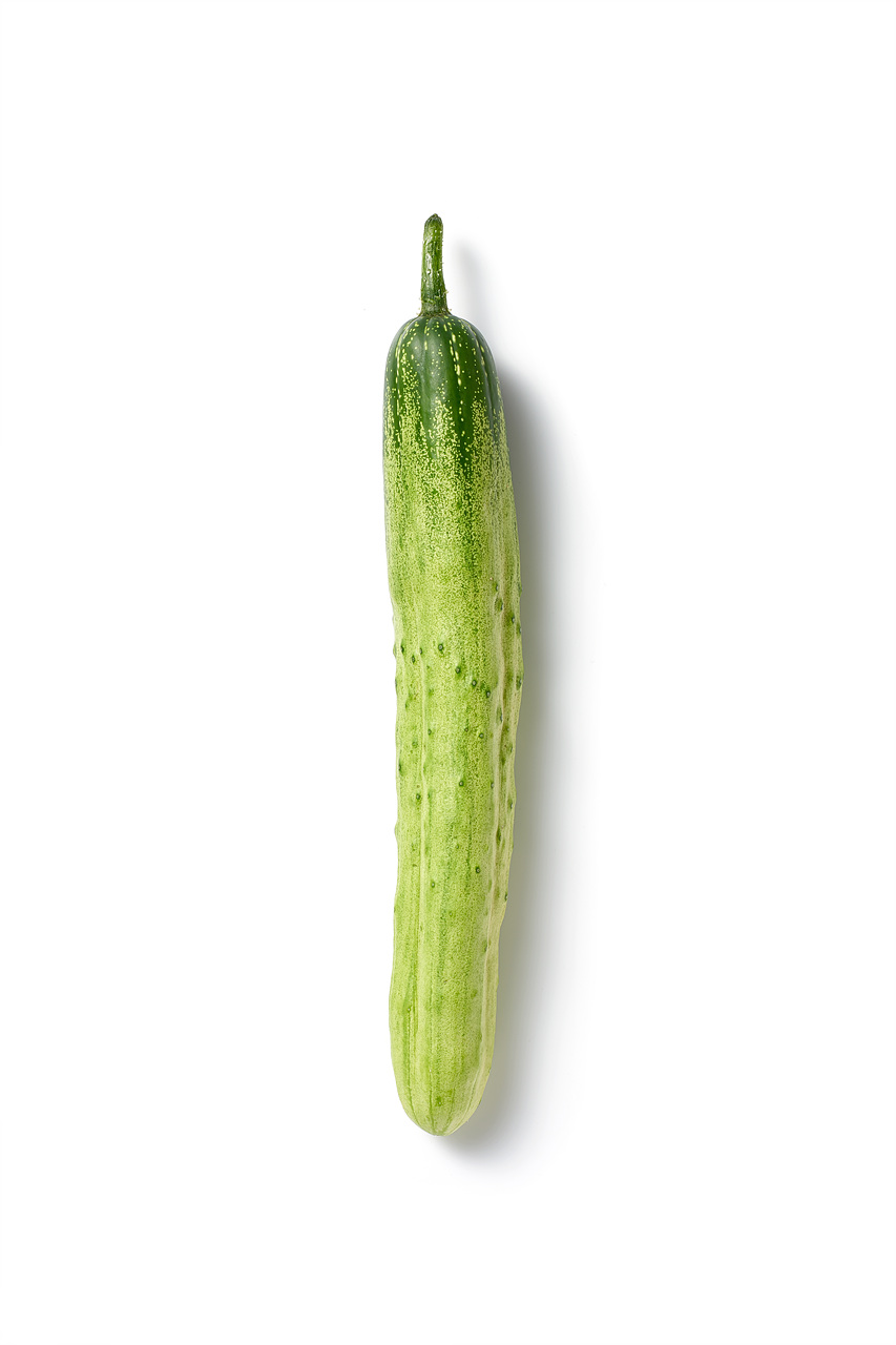 오이의 맛 | 새미네부엌