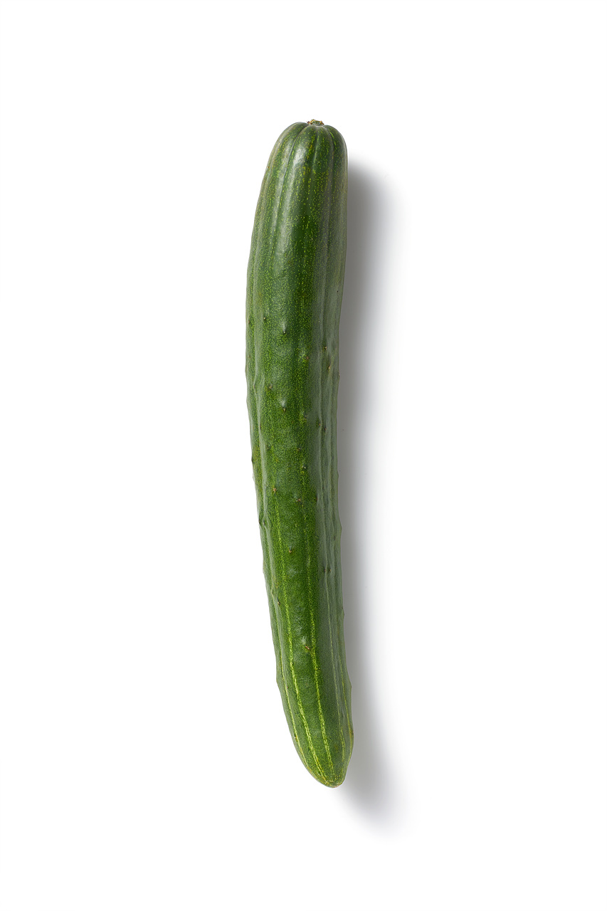 오이의 맛 | 새미네부엌